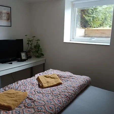 2 Bedrooms Furnished Semi- Basement Close To Everything In *