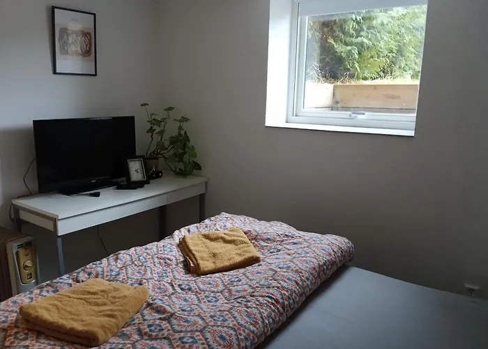 2 Bedrooms Furnished Semi- Basement Close To Everything In *