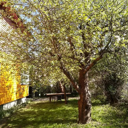 Διαμέρισμα Newly Renovated 2 Bedrooms Apartment - Walking Distance To Everything In Moss Moss